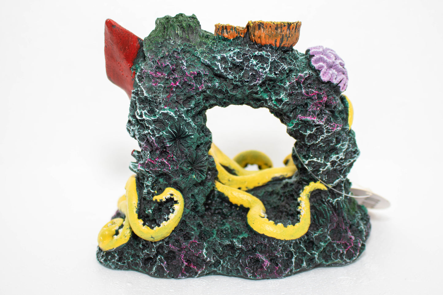 Yellow Squid With Coral Arch