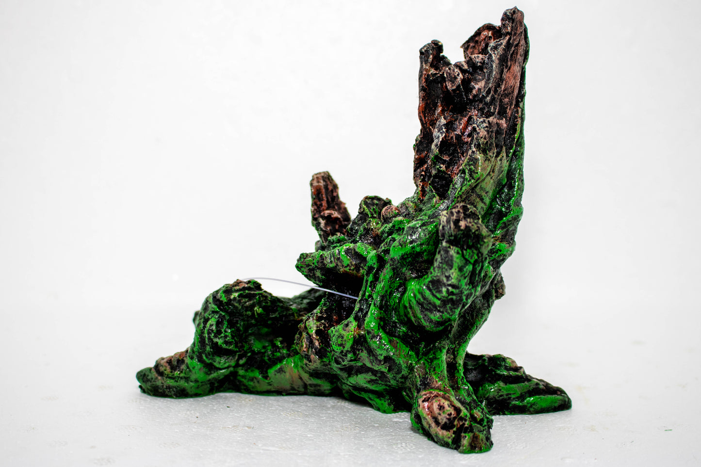 Mossy Tree Trunk Roots