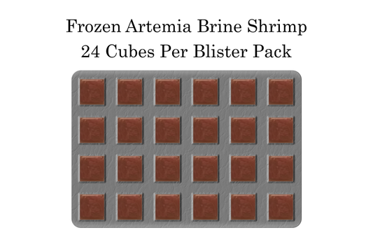 Frozen Artemia Brine Shrimp 24 Cubes