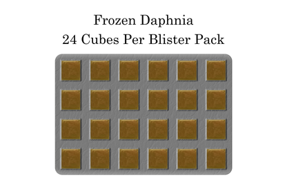 Frozen Daphnia 24 Cubes