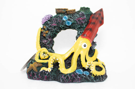 Yellow Squid With Coral Arch