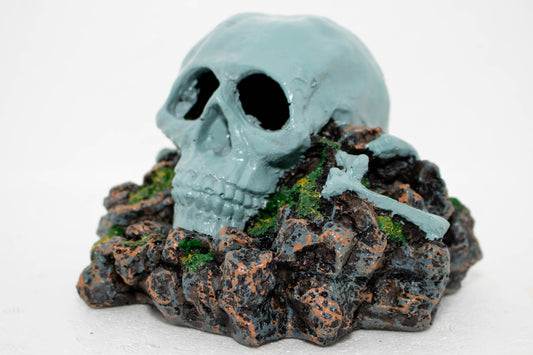 Blue Skull On Rocks