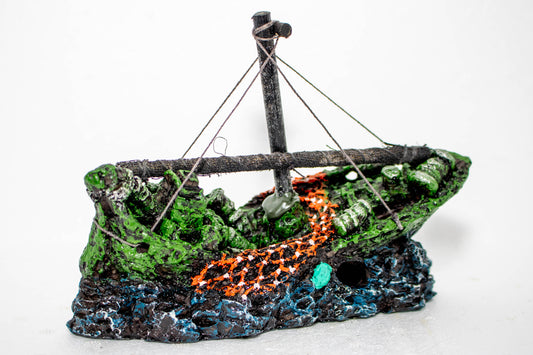 Shipwreck With Red Fishing Net